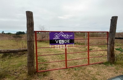 Campos y Chacras en Venta en Salto, Salto