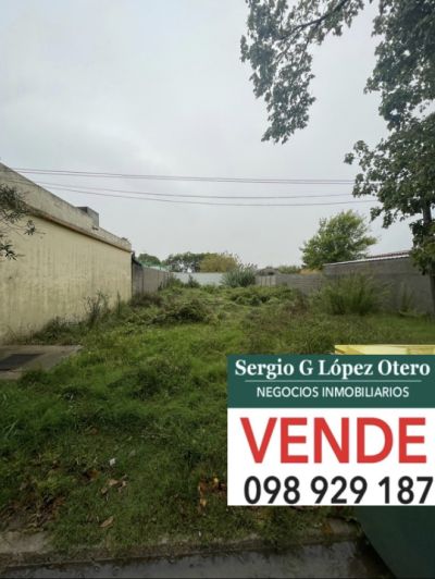 Terreno en Venta en Centro, Trinidad, Flores