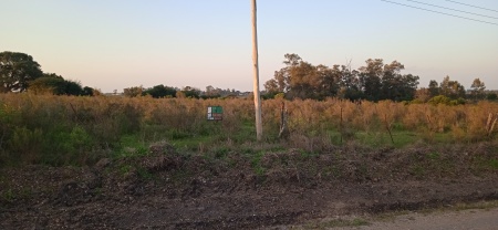 Campo / Chacra en Venta en COLONIA 18 DE JULIO, Salto, Salto