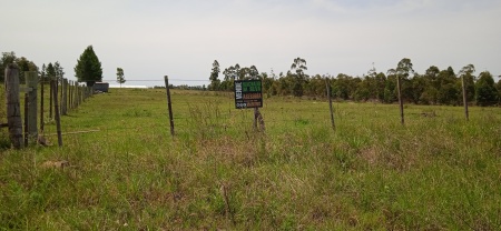 Campo / Chacra en Venta en Salto, Salto