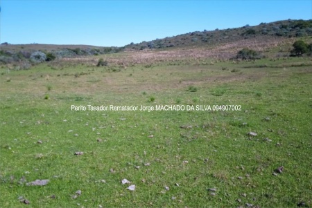 Campo / Chacra en Venta en PASO DEL CERRO, Paso Del Cerro, Tacuarembó