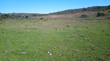 Campos y Chacras en Venta en PASO DEL CERRO, Paso Del Cerro, Tacuarembó
