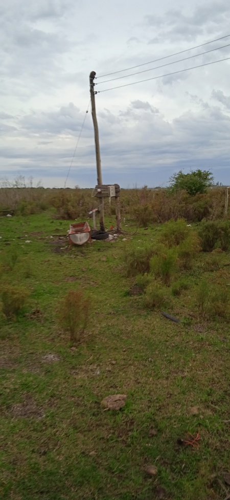 Campo / Chacra en Venta en Albisu, Salto, Salto