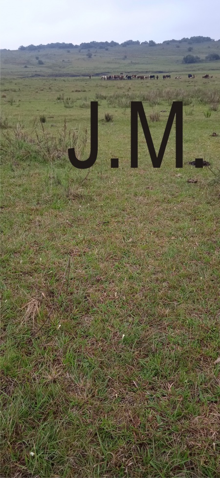 Campos y Chacras en Venta en PASO DEL CERRO, Paso Del Cerro, Tacuarembó