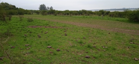 Campos y Chacras en Venta en Salto, Salto