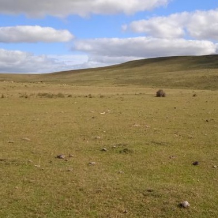 Campos y Chacras en Venta en Salto