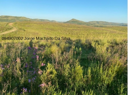 Campo / Chacra en Venta en Proximo a Laureles, Tacuarembó, Tacuarembó