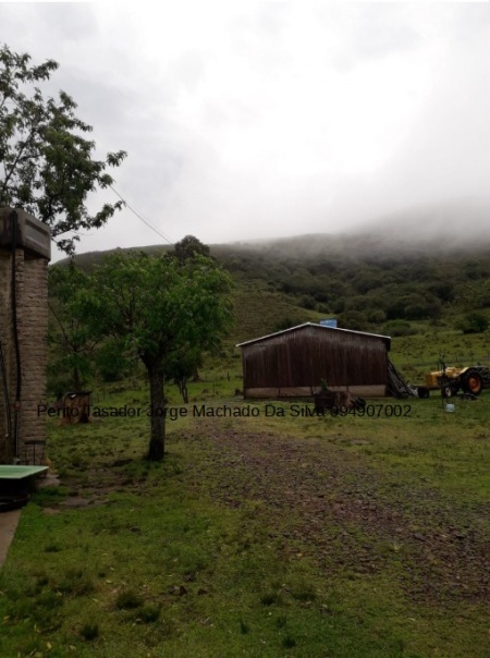 Campo / Chacra en Venta en Limite con Tacuarembo y Salto, Rivera, Rivera