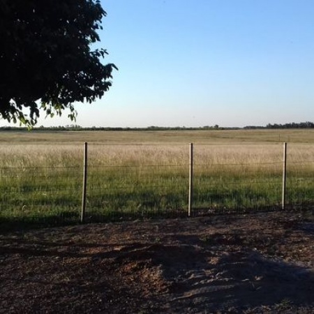 Campo / Chacra en Venta en Baltasar Brum, Artigas