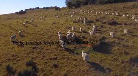 Campo / Chacra en Venta en Proximo a Paso del Cerro, Paso Del Cerro, Tacuarembó