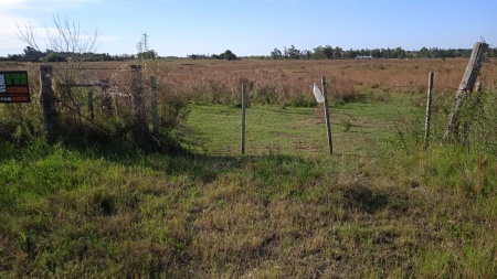 Campos y Chacras en Venta en Zona la gaviota, Salto, Salto