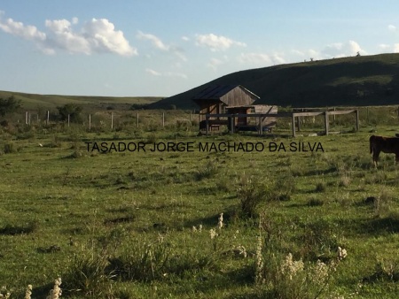 Campos y Chacras en Venta en Tacuarembó, Tacuarembó