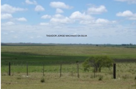 Campo / Chacra en Venta en Artigas, Artigas