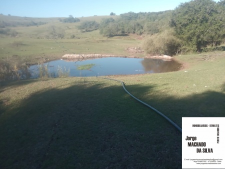 Campo / Chacra en Venta en Tacuarembó, Tacuarembó