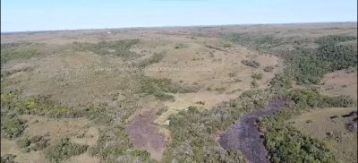 Campo / Chacra en Venta en Artigas, Artigas