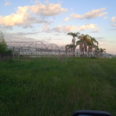 Campo en Venta en Salto, Salto