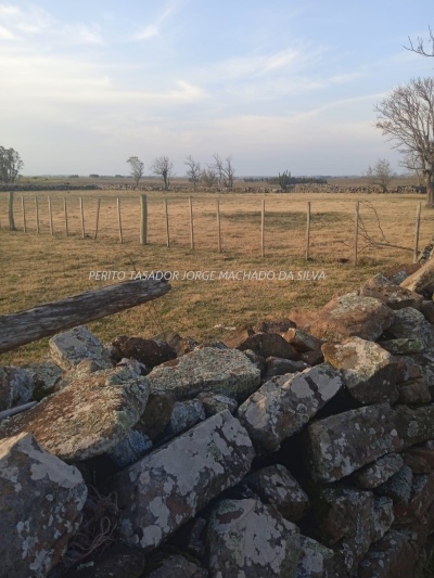 Campo / Chacra en Venta en Salto, Salto