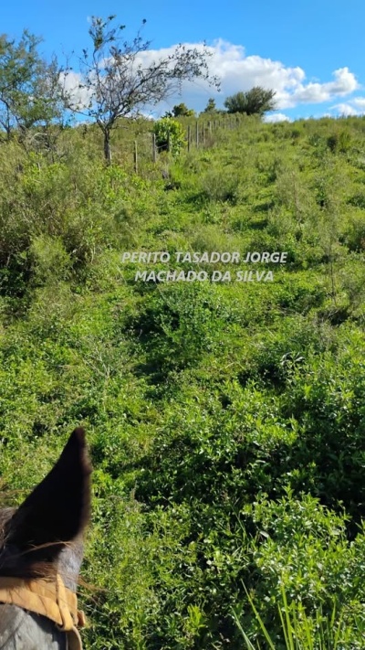 Campos y Chacras en Alquiler en Paso Del Cerro, Tacuarembó