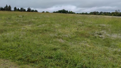 Campo / Chacra en Venta en Salto, Salto