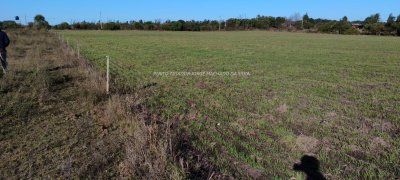 Campos y Chacras en Venta en Salto, Salto