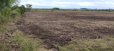 Campos y Chacras en Venta en Salto, Salto