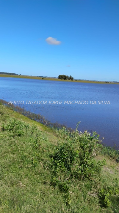 Campos y Chacras en Venta en ZONA PROXIMA  A VICHADERO, Vichadero, Rivera