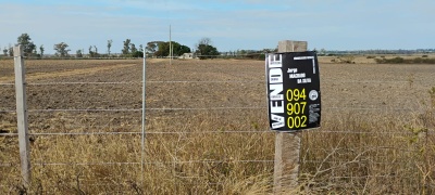 Campos y Chacras en Venta en Espinillar, Salto