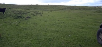 Campo en Venta en Salto, Salto