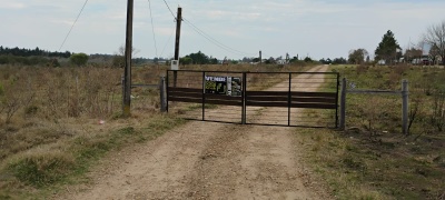 Campos y Chacras en Venta,  Alquiler en Colonia 18 de Julio, Salto