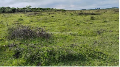 Campo en Venta en Espinillar, Salto