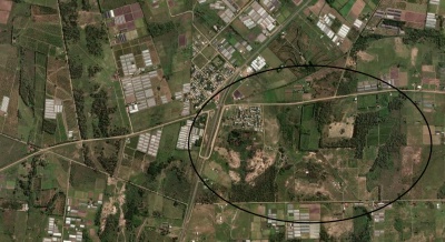 Campos y Chacras en Alquiler en Colonia 18 de Julio, Salto