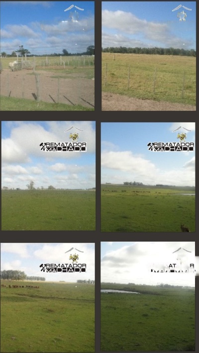 Campos y Chacras en Venta en Paysandú, Paysandú