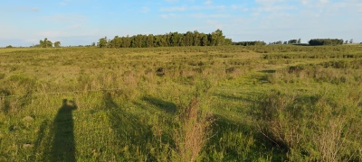 Campos y Chacras en Venta en Salto, Salto