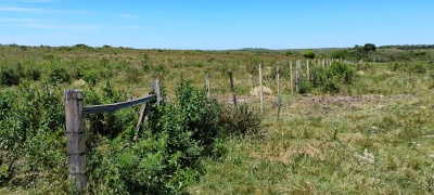 Campos y Chacras en Alquiler en Artigas, Artigas