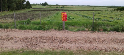 Campos y Chacras en Venta en Salto, Salto