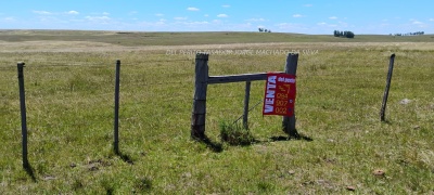 Campos y Chacras en Venta en Salto, Salto