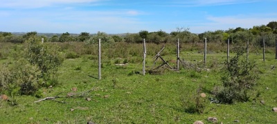 Campos y Chacras en Venta en Rivera, Rivera