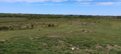 Chacra en Venta en Salto, Salto