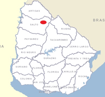 Campo en Venta en Salto, Salto