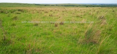 Campos y Chacras en Venta en Tacuarembó, Tacuarembó