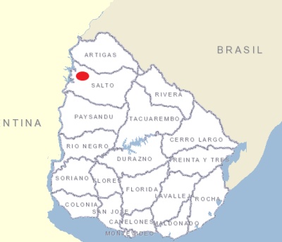 Campos y Chacras en Venta en Salto, Salto