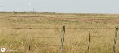 Campo en Venta en Artigas, Artigas