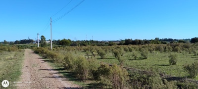 Terreno en Venta en Salto, Salto
