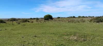 Campo en Venta en Rivera, Rivera