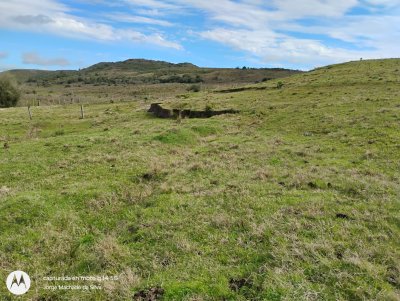 Campo en Alquiler en Tacuarembó, Tacuarembó
