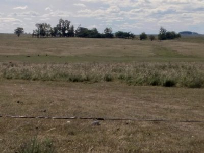Campo en Venta en Artigas, Artigas