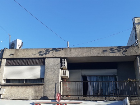 Locales Comerciales en Venta en Centro, Salto