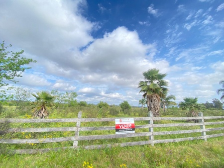 Terreno en Venta en Salto, Salto