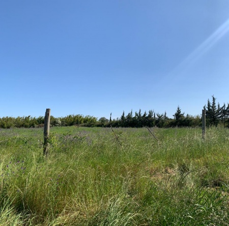 Terreno en Venta en Barrio gallino, Salto, Salto