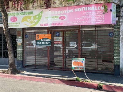 Locales Comerciales en Alquiler en Centro, Salto, Salto